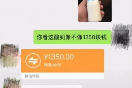 沈丘专业讨债公司有哪些核心服务？